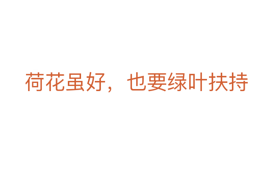 荷花虽好,也要绿叶扶持