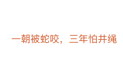 一朝被蛇咬,三年怕井绳