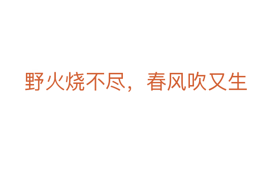 野火烧不尽,春风吹又生