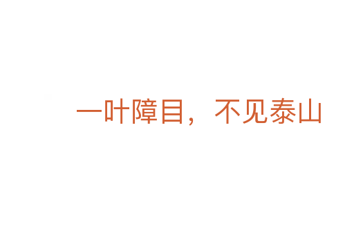 一叶障目,不见泰山