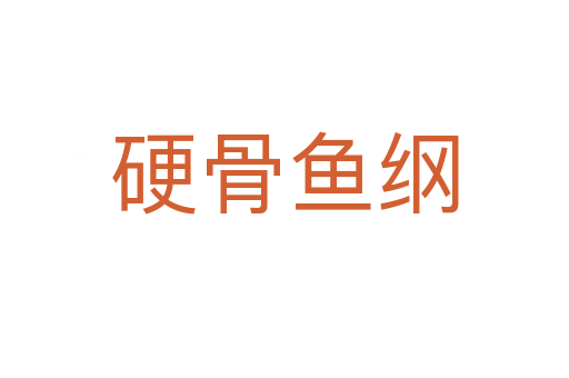 硬骨鱼纲