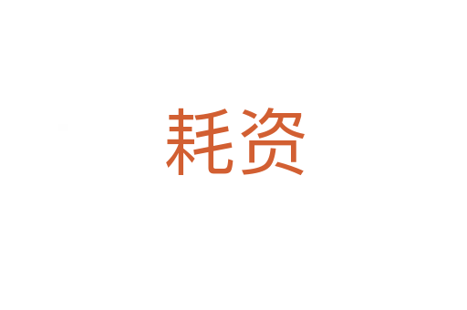 耗资