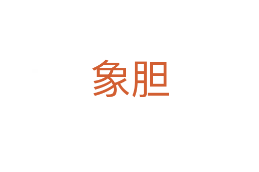 象胆