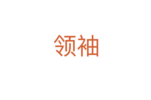 领袖