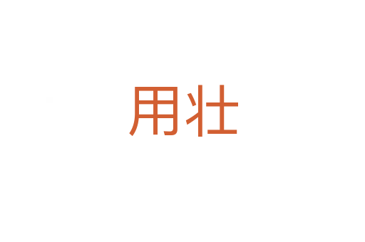 用壮