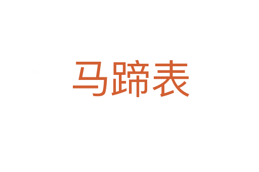 马蹄表