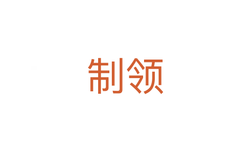 制领
