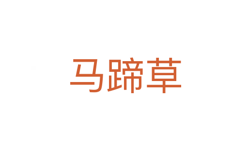 马蹄草