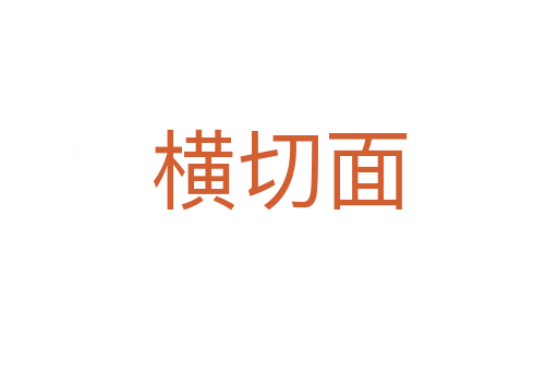 横切面