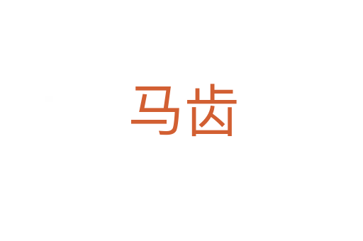 马齿