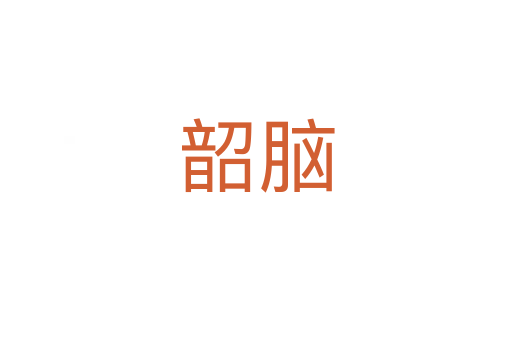 韶脑