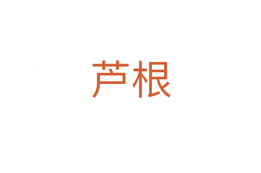 芦根