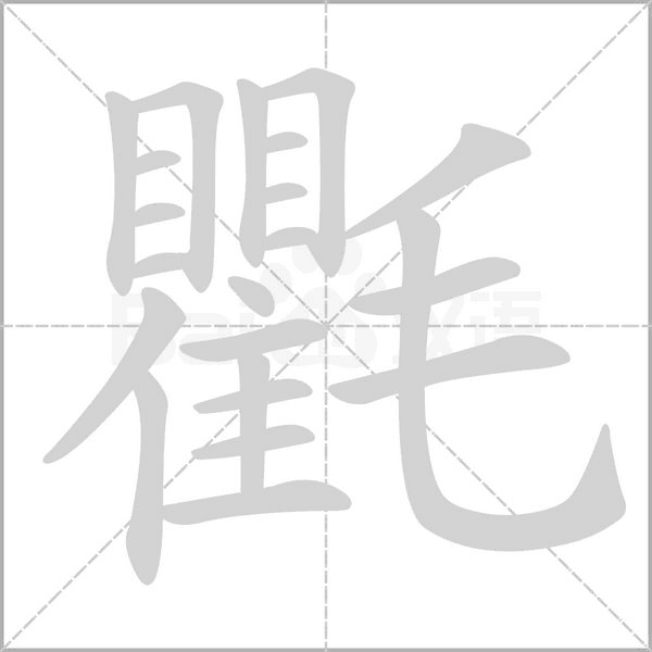 氍的笔顺动画演示