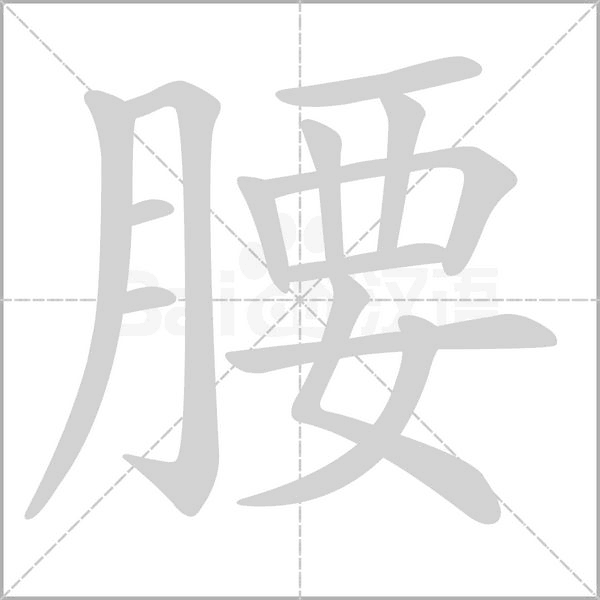 腰的笔顺动画演示