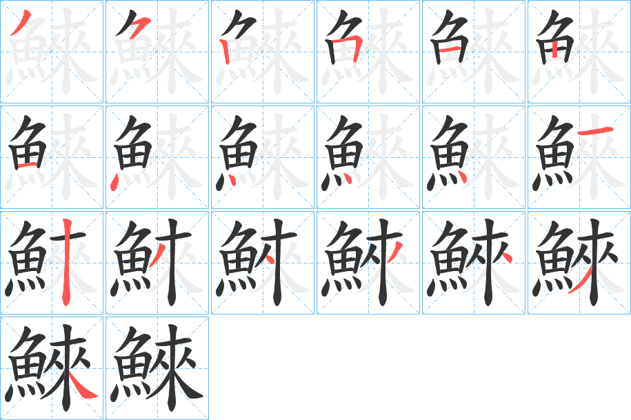 鯠的笔顺分步演示